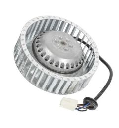 MOTORE DRYER 