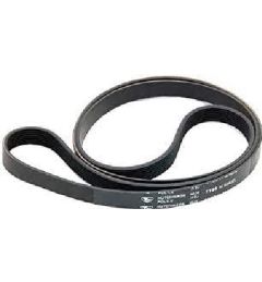 CINGHIA 1195 H8 ELASTICA