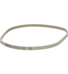 CINGHIA 1234 J5 ELASTICA PU WHITE