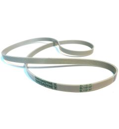 CINGHIA 1151 H7 ELASTICA PU WHITE