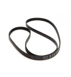 CINGHIA 1236 J4 ELASTICA
