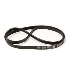 CINGHIA 1225 J5 ELASTICA