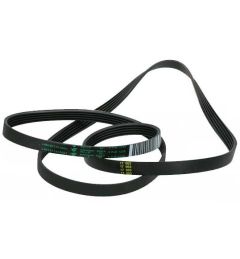 CINGHIA POLY V 1239J5 ELASTICA