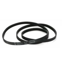 CINGHIA 1244 J4 ELASTICA