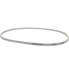 CINGHIA 1049 J4 ELASTICA PU WHITE