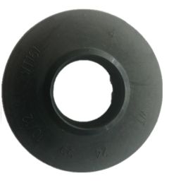 ANELLO TENUTA 24x55x10/12