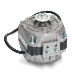 MOTORE PENTAVALENTE 10 WATT